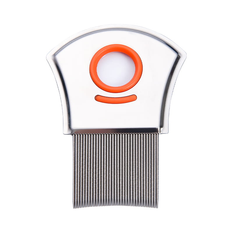 Magnificare speculum immaculatam ferro pectore Magnificare speculum immaculatam ferro pectore