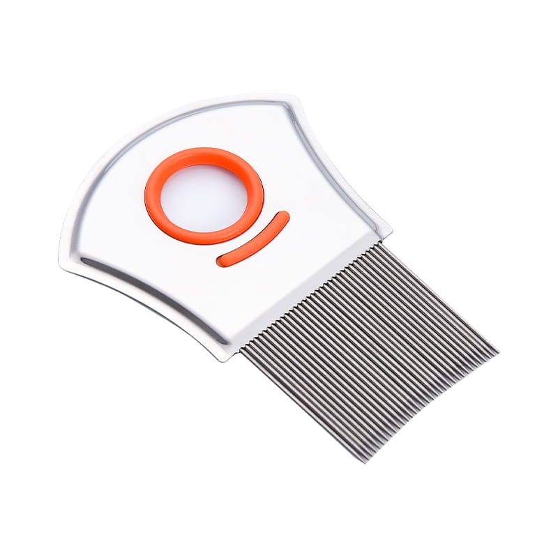 Magnificare speculum immaculatam ferro pectore Magnificare speculum immaculatam ferro pectore